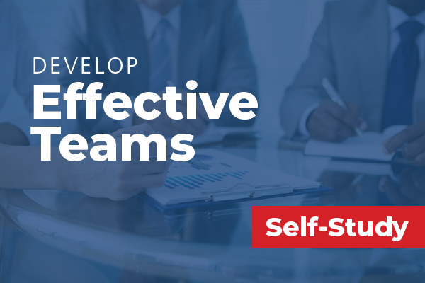 Develop Effective Teams