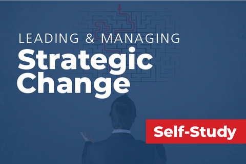 Leading and Managing Strategic Change